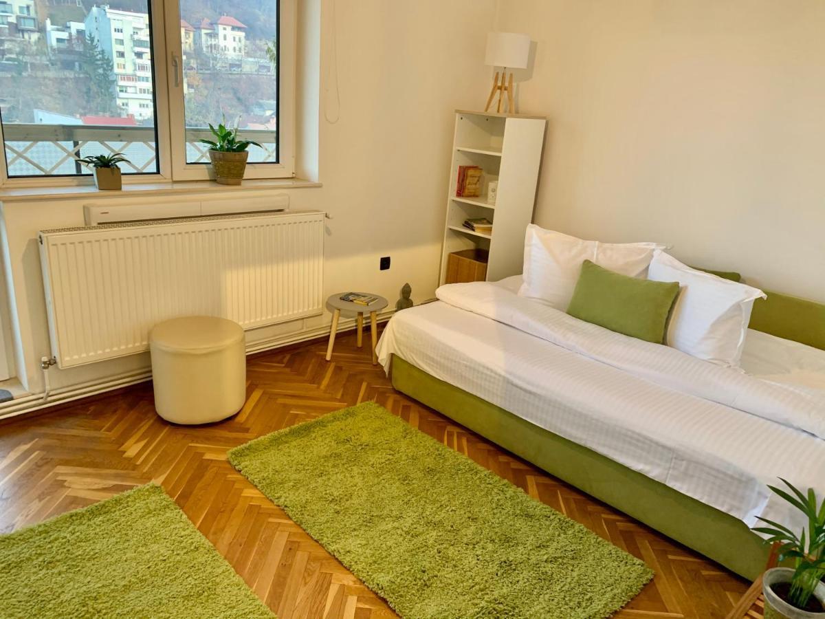 Ferienwohnung Viktory Brașov Exterior foto
