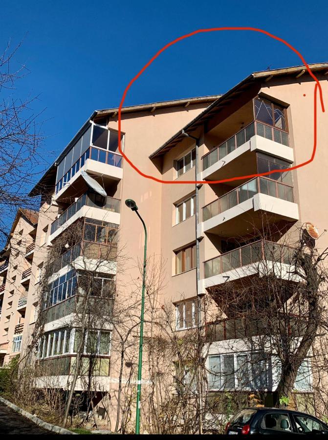 Ferienwohnung Viktory Brașov Exterior foto